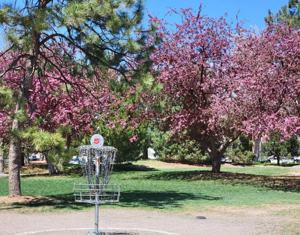 Colorado Is Now Home to the Most Popular Disc Golf Course in the U.S.