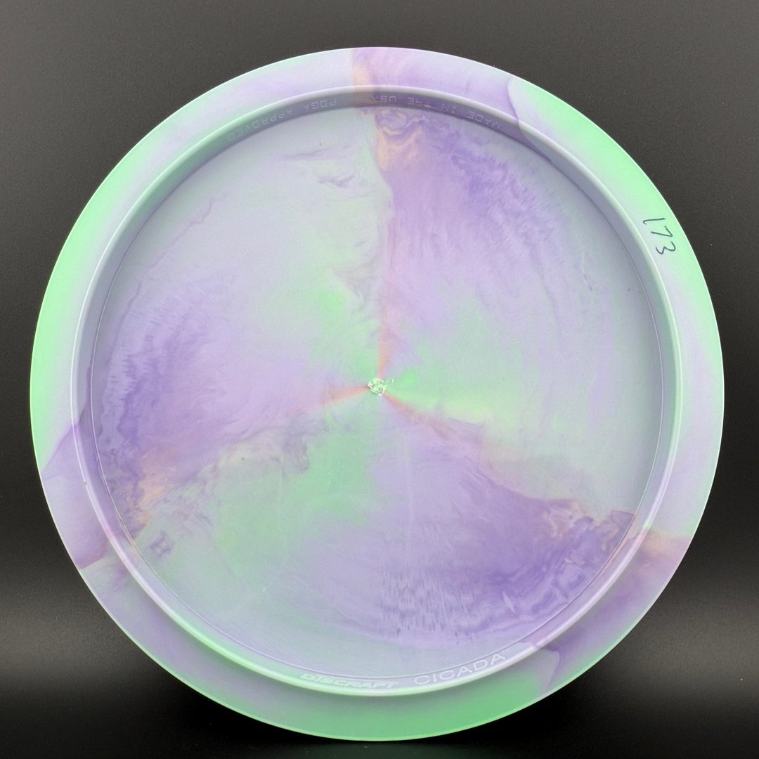 Swirl ESP FLX Cicada - Australasian Open 2026 - Great for Beginners!