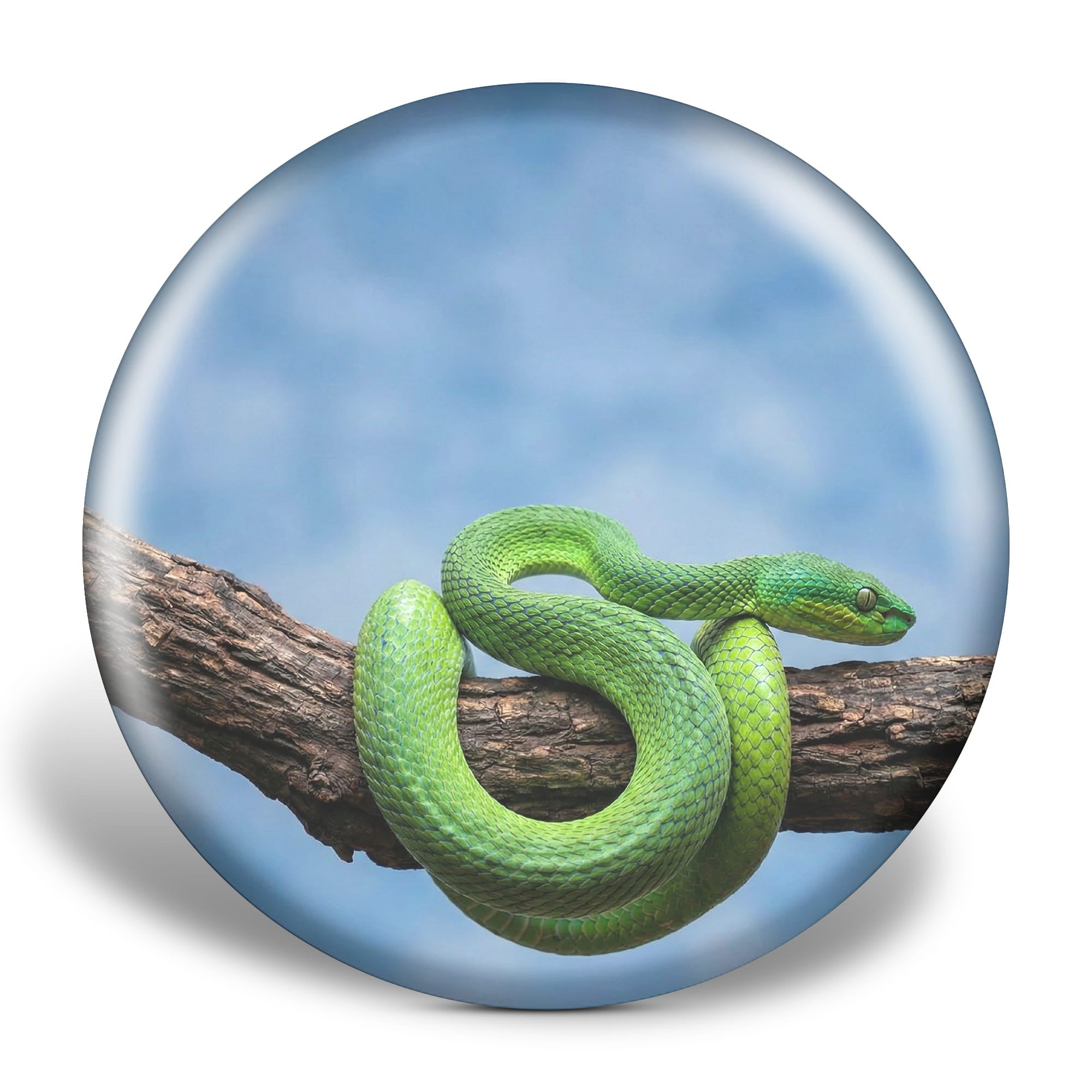The Emerald Strike: 3D Textured Sense-X Disc